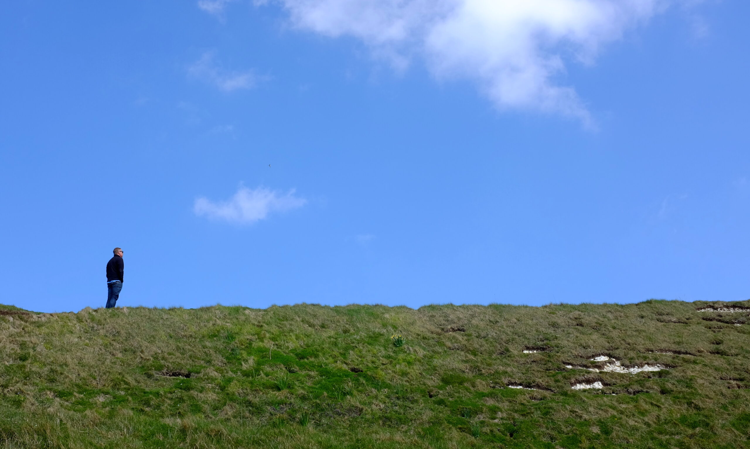 man, blue sky, green grass