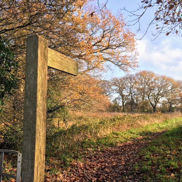 Signpost to coaching, The Natural Coaching Company