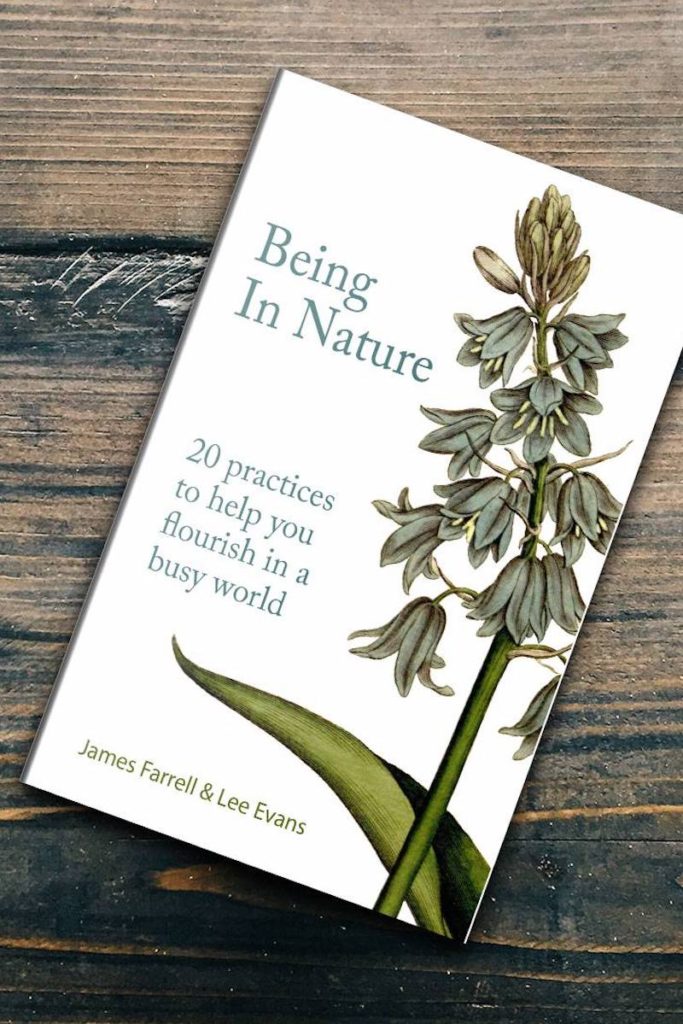 Being in Nature - 20 practices to help you flourish in a natural world book