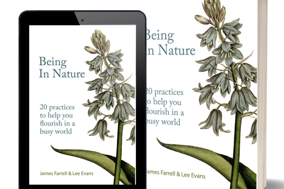 Being in Nature ebook and book cover