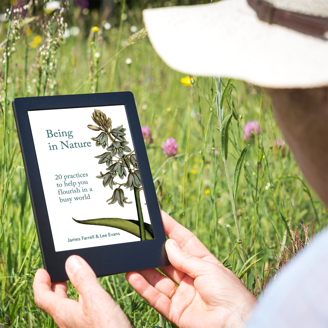 man reading nature book on kindle outside with wildflowers