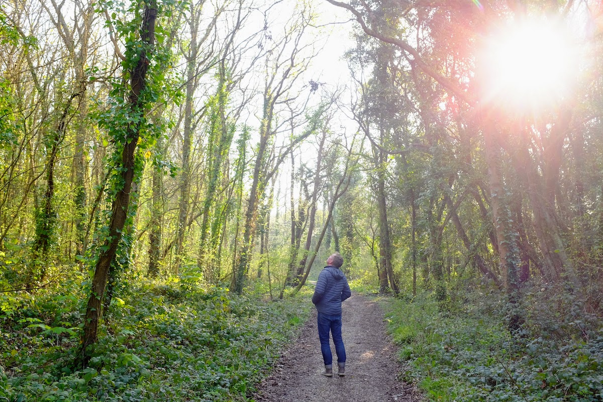 man standing looking up at trees on woodland path sun shining through