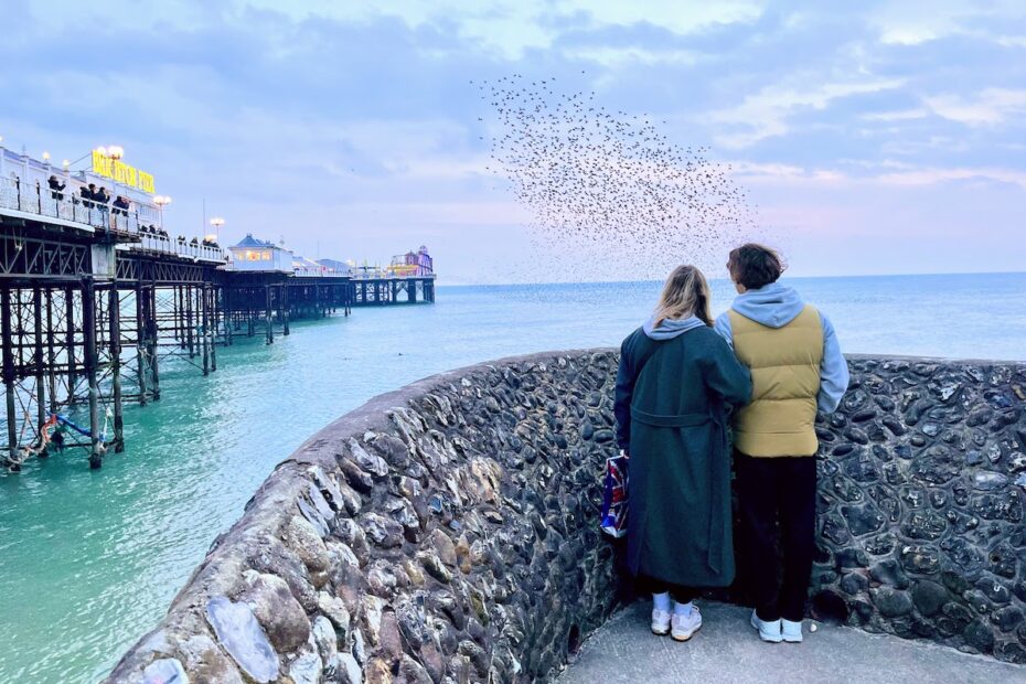 a couple watching starlings at Brighton pier sea sky