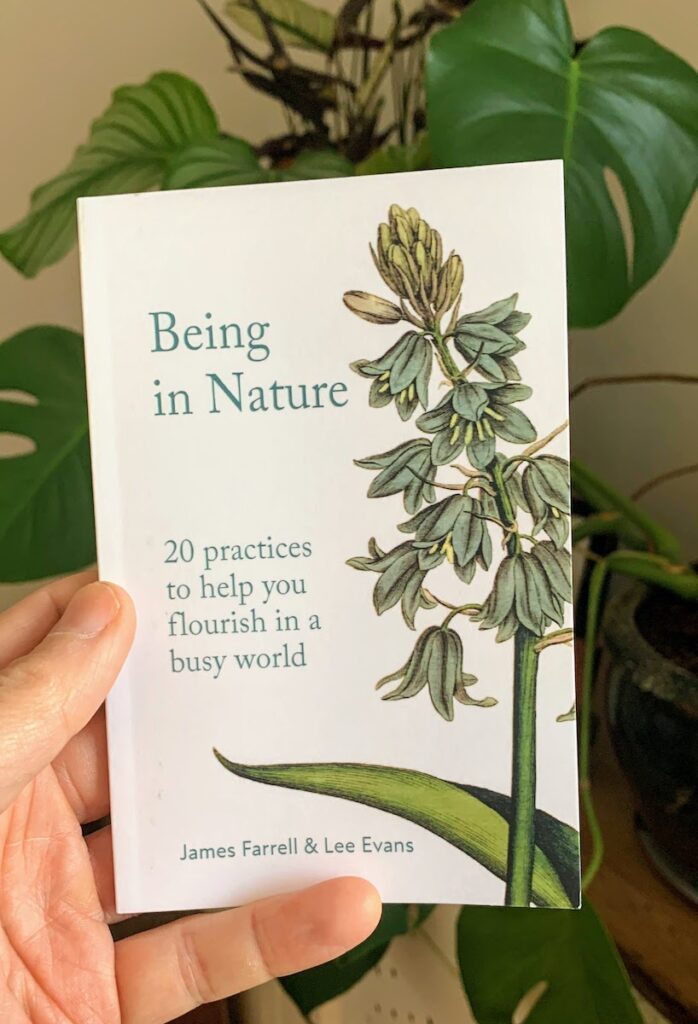 hand holding book called 'being in nature' with plant in background