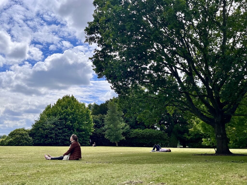 Woman sitting in contemplation on grass by large tree