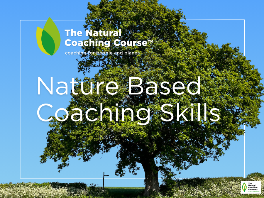 Nature Based Coaching Skills flyer with oak tree signpost and blue sky The Natural Coaching CourseTM