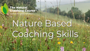 Nature based coaching skills introduction video by The Natural Coaching Company