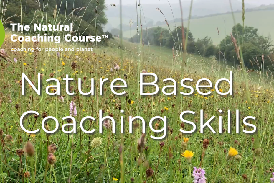 Nature based coaching skills introduction video by The Natural Coaching Company