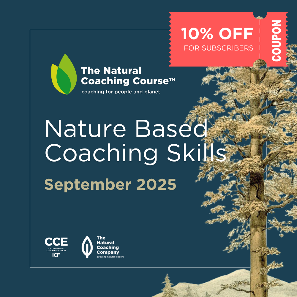 nature based coaching skills training product, redwood tree illustration