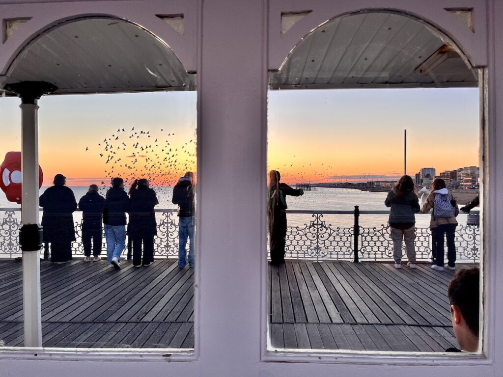 people on pier watching starling murmuration at sunset