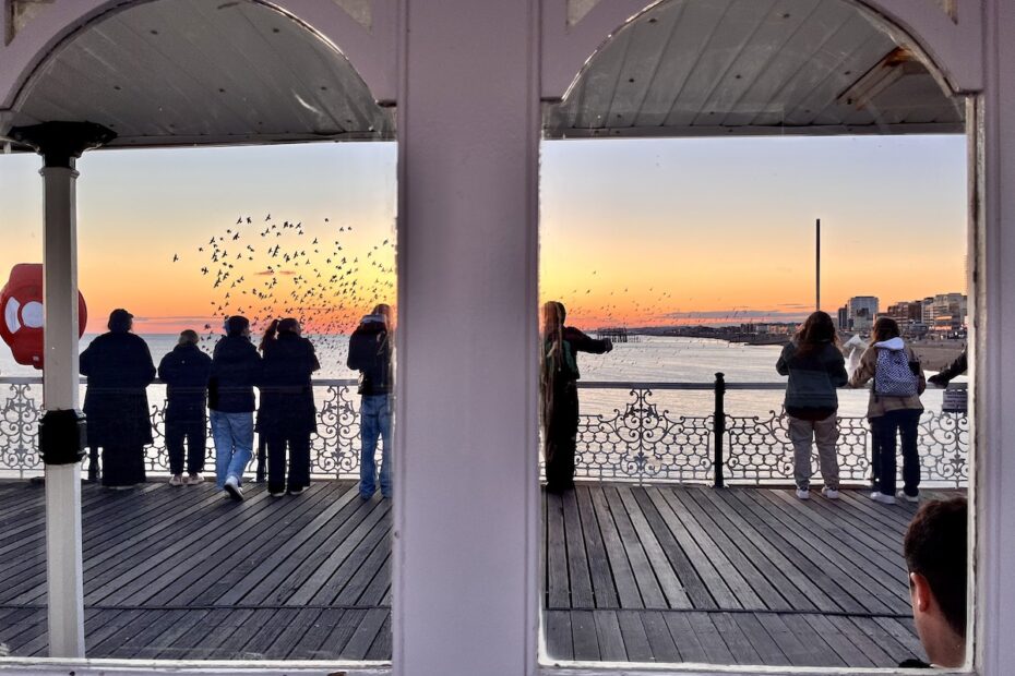 people on pier watching starling murmuration at sunset