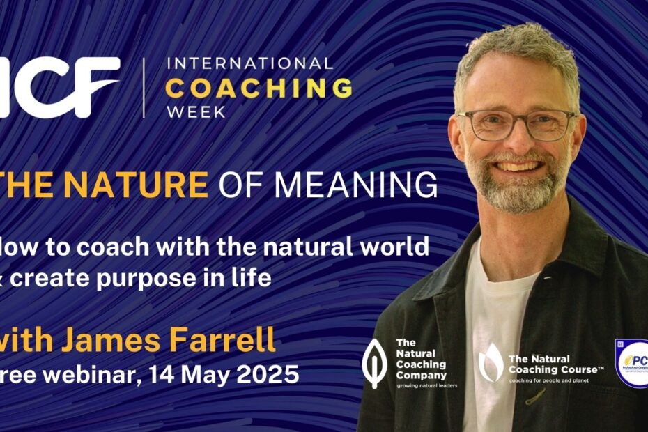 nature of meaning coaching even flyer with james farrell photo