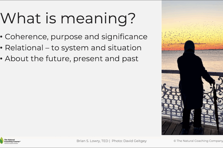 what is meaning - powerpoint slide with person watching sunset