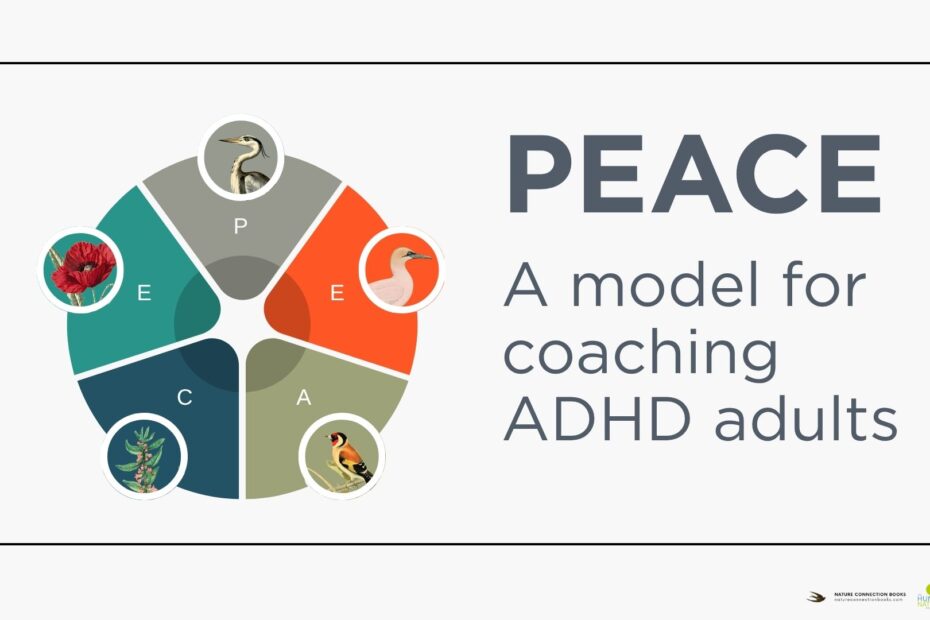 PEACE model graphic for coaching ADHD adults