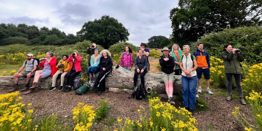 people at natural view point with yellow flowers in foreground