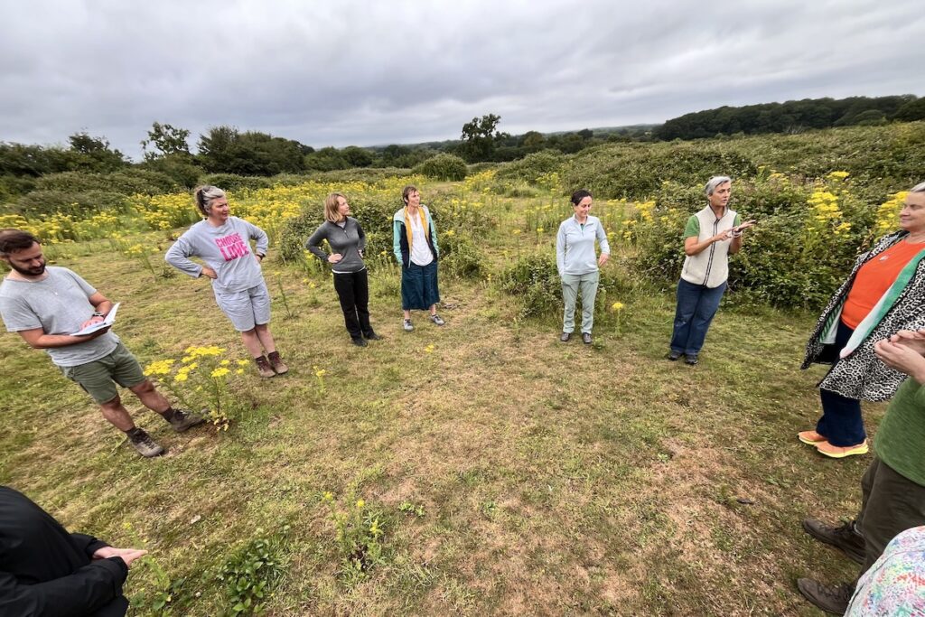 circle at knepp outdoors