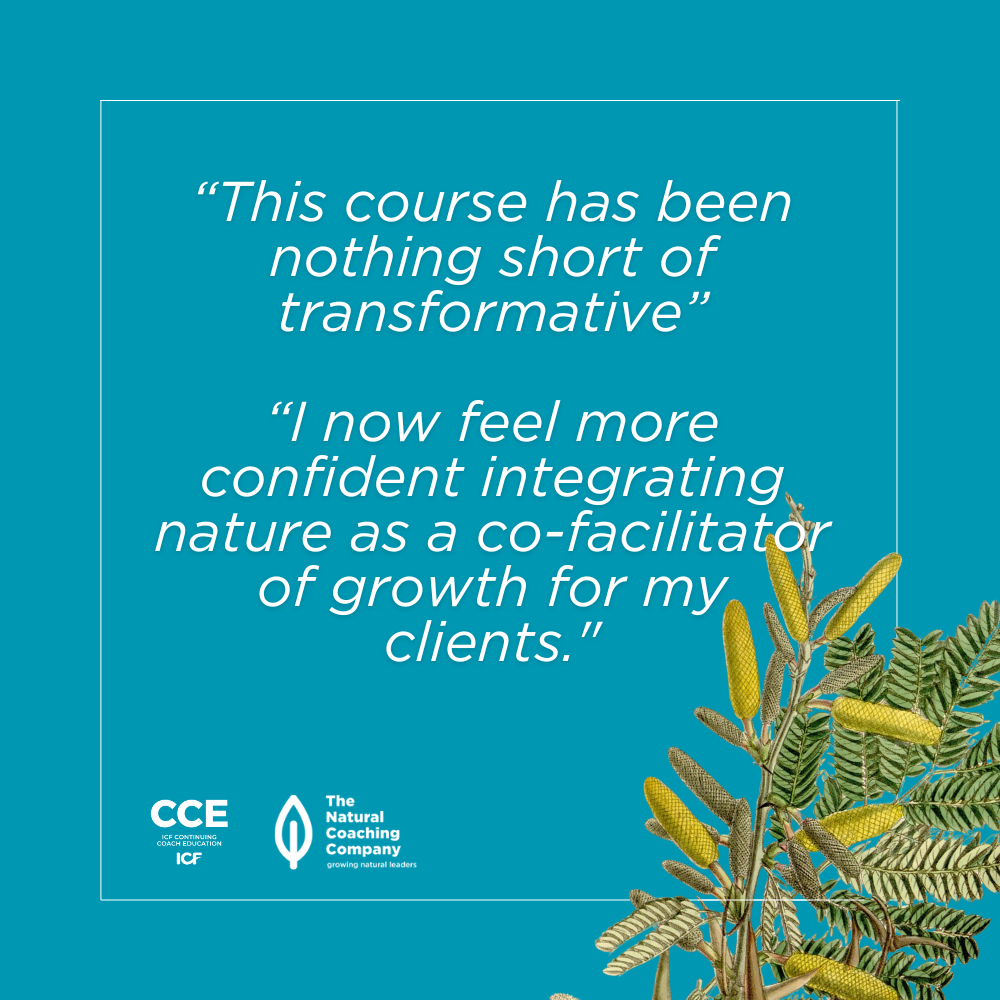 Nature Based Coaching Skills course - April 2026 - Image 4
