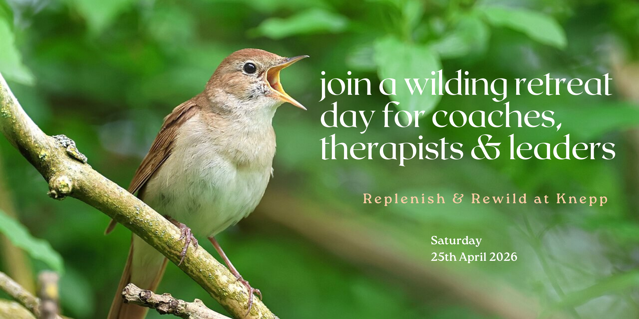 flyer for retreat at knepp with singing nightingale photo