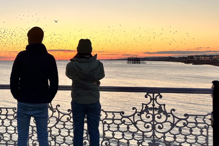 two people in silouhette at sunset with seascape and starlings