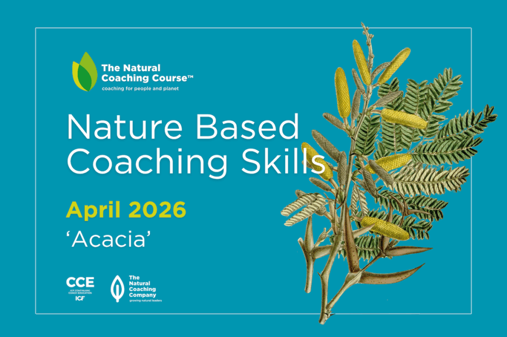 nature based coaching skills course flyer with illustration of acacia and blue backgroun