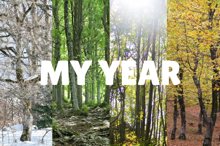 Picture of trees in 4 seasons