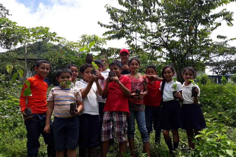 community in forest setting