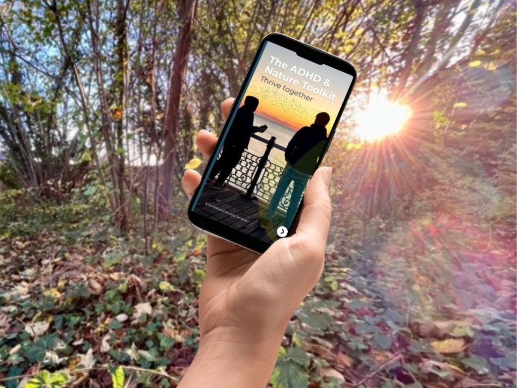 hand with mobile phone woods sunshine