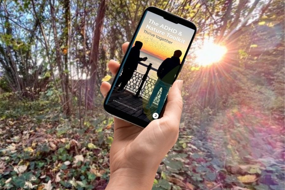 hand with mobile phone woods sunshine