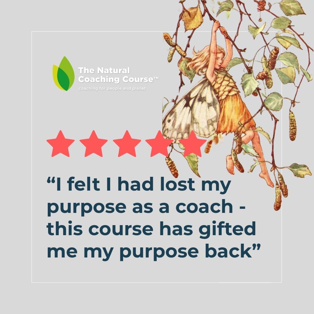 Nature Based Coaching Skills course - Oct 2026 - Image 3
