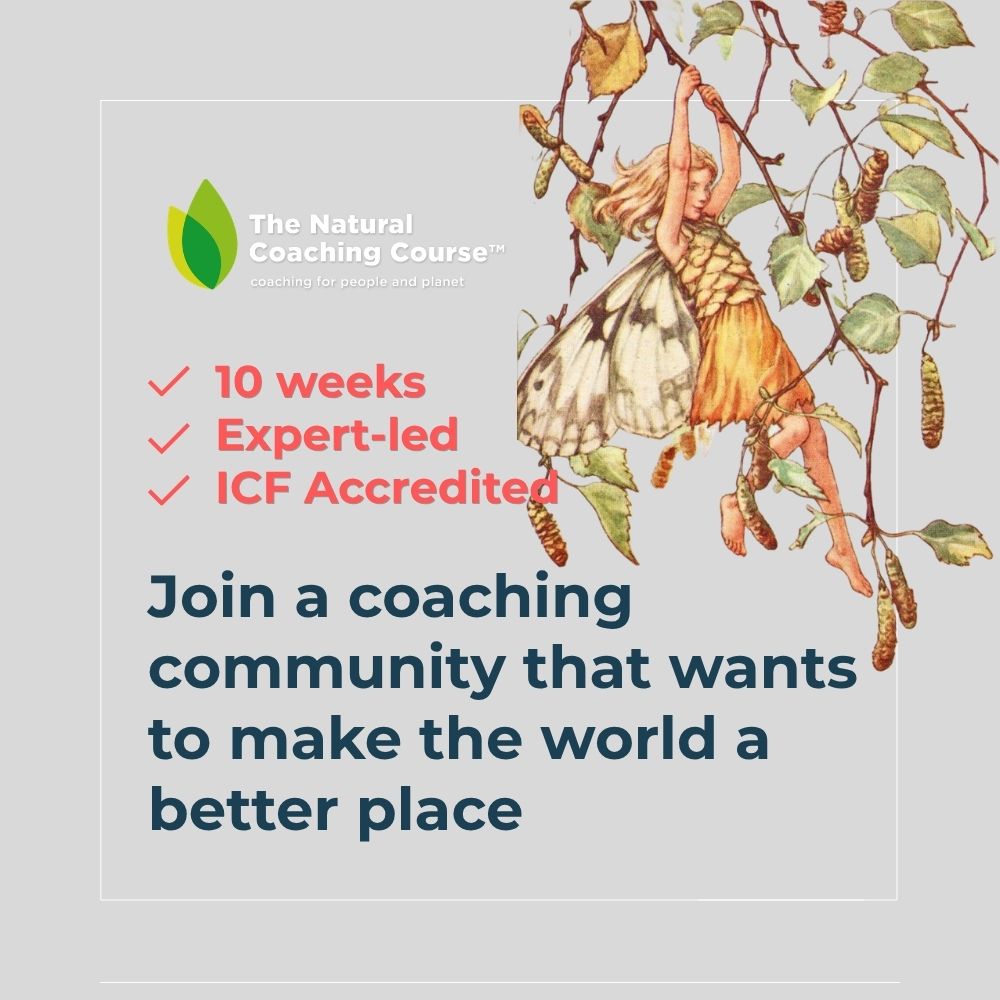 Nature Based Coaching Skills course - Oct 2026 - Image 2