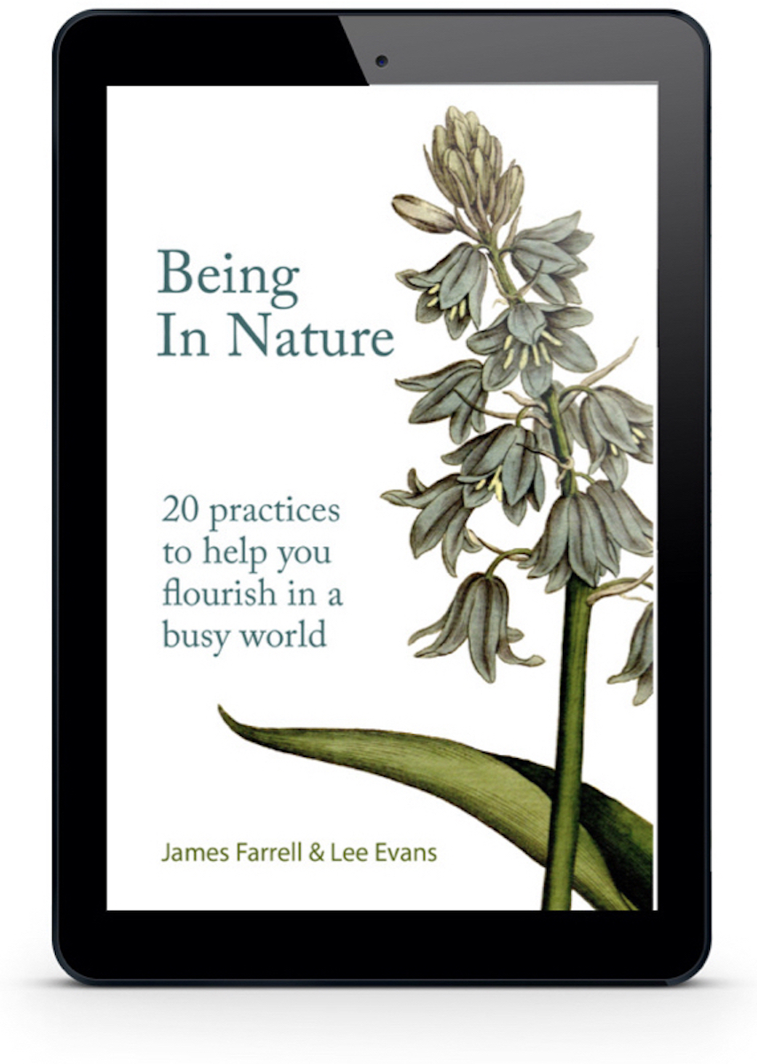 being in nature ebook