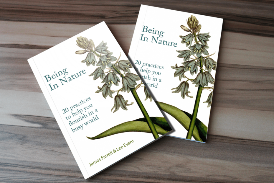 two books being in nature bluebell illustration