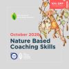 nature based coaching skills course poster with illustration of flower fairy