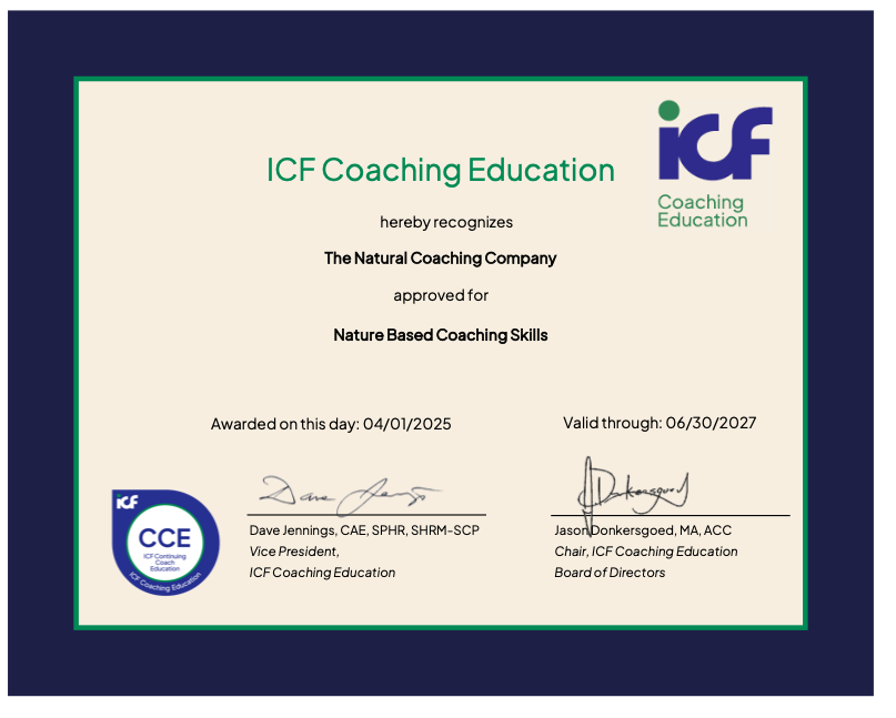 training certificate