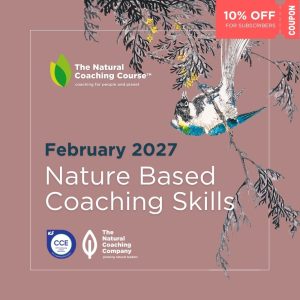nature based coaching skills poster bird and branch on pink background