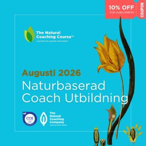 Nature based coaching training swedish course with tulip illustration