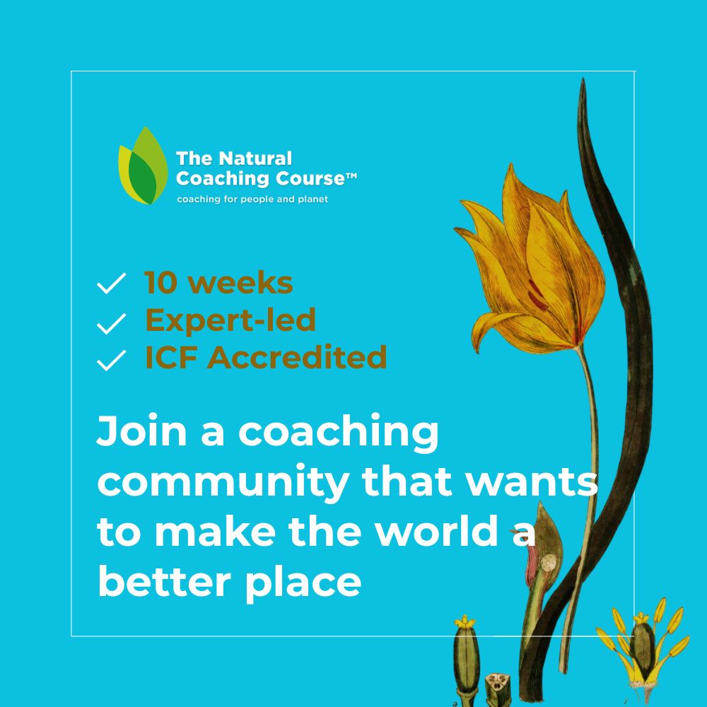 Nature based coaching training swedish course with tulip illustration