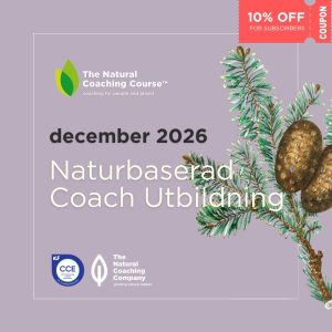 Nature Based Coaching Skills - swedish version product image, fir branch illustration