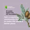Nature Based Coaching Skills - swedish version product image, fir branch illustration