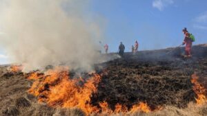 wildfires in the peak district burning with firefighters